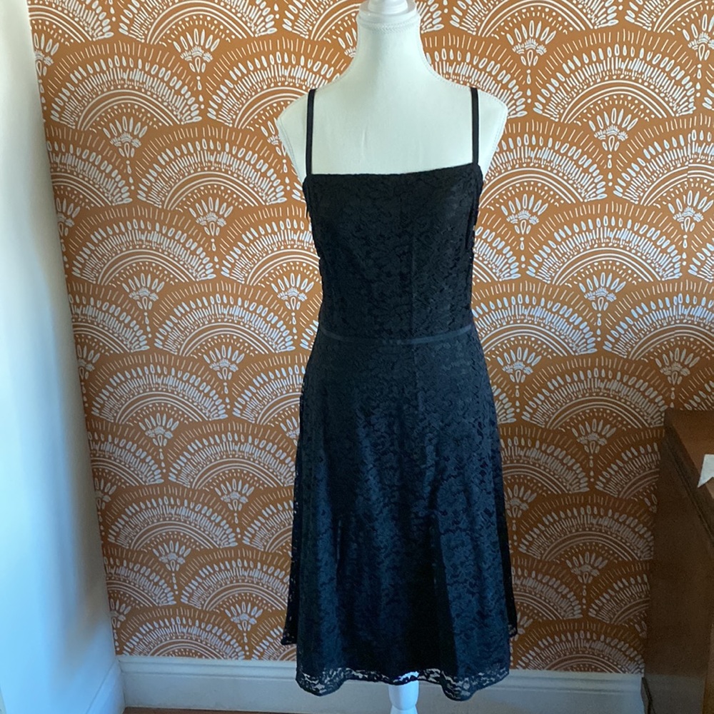 Ann Taylor Lace Dress